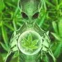 urboi avatar
