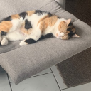 avatar Schufa/Pierre