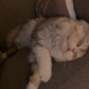 avatar Schufa/Pierre