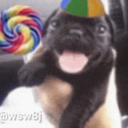 Discord Avatar