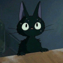 avatar DinaDog