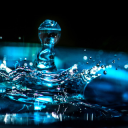 avatar DonOctavia | Martin