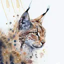 lynxie