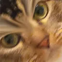 rustythecrusty