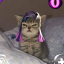 avatar Zims