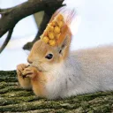 secretsquirrel_