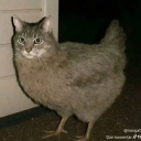 tutustk