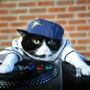 djcatfood