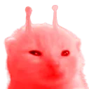 omfgitswow's Avatar