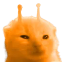 omfgitswow's Avatar