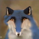 avatar BlubyTheFox
