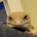 faresbk#6834's avatar