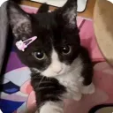 viggyviggy