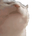 lemninx