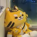 yu_1nn