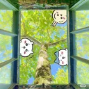 yu_1nn