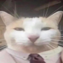 avatar Lordgraf Katze