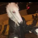 senatecommando avatar