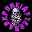 punkchu5796