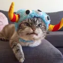 khajiit4223