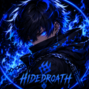 Hide