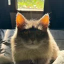 waldolahr