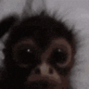 mystix_wolf#1073's avatar