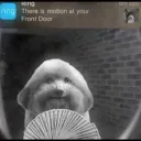 yungdonny