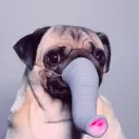 milf_stevebuscemi
