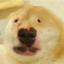 general_madman