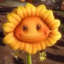 sunflower_sunn
