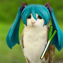 avatar BoiledNoodles