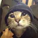 tevrr