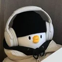 salinho12