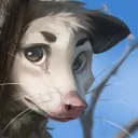 dead.possum