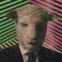 .groovygravox