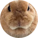 blephary