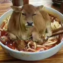 noodlecow