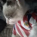pabloavelar