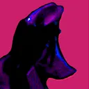 kurpppa