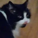 deadinside0202