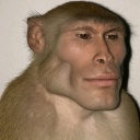 avatar TheMotorBoater