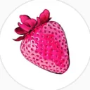 rococorobin