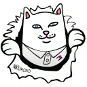 nikkimond