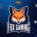 elfoxgaming