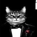 avatar tyszczak87