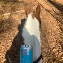 equicrio