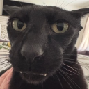 wellintin.kk#6912's avatar