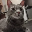 annonywolfroda