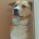 user_io35qrrq59k656lt member profile picture